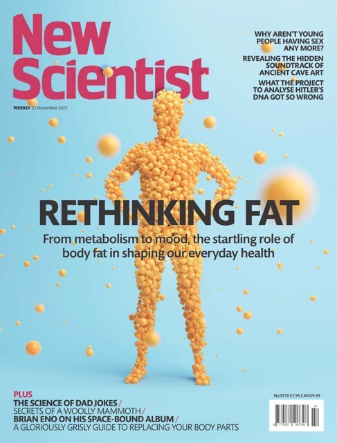 New-Scientist-International-Edition-22-November-2025-66134897-Medium.jpeg