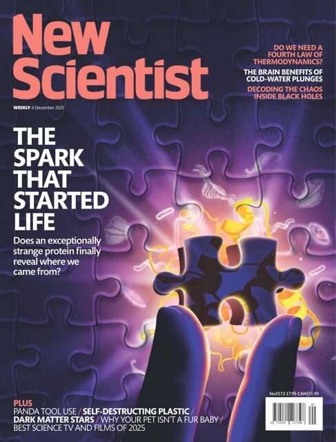 New-Scientist-International-Edition---6-December-2025-82754094-Medium.jpeg
