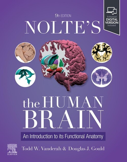 Noltes-The-Human-Brain-An-Introduction-to-its-Functional-Anatomy-9th-Edition-39257499-Medium.jpeg