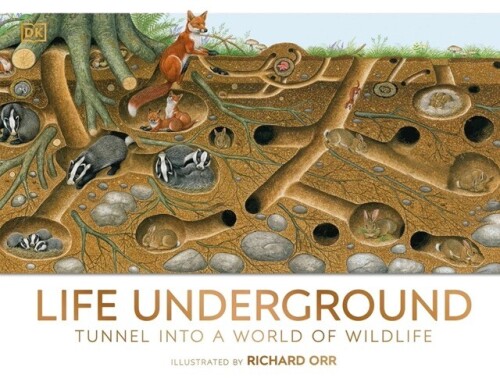 Life-Underground--Tunnel-into-a-World-of-Wildlife-Medium-12926415.jpeg