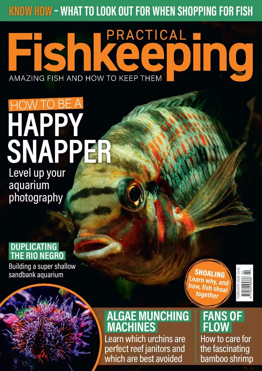 Practical Fishkeeping - February 2026 1597280094